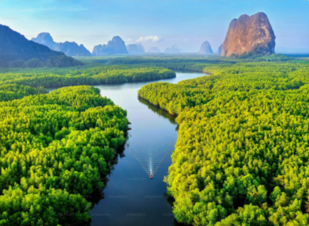 Sine Tag Upgrades Eco-Friendly Materials, Recycled Content Exceeds 50%